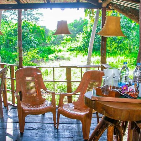 סיגירייה Experience The Comforts Of An Amazing Treehouse מראה חיצוני תמונה
