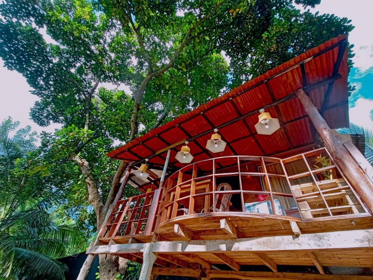 סיגירייה Experience The Comforts Of An Amazing Treehouse מראה חיצוני תמונה