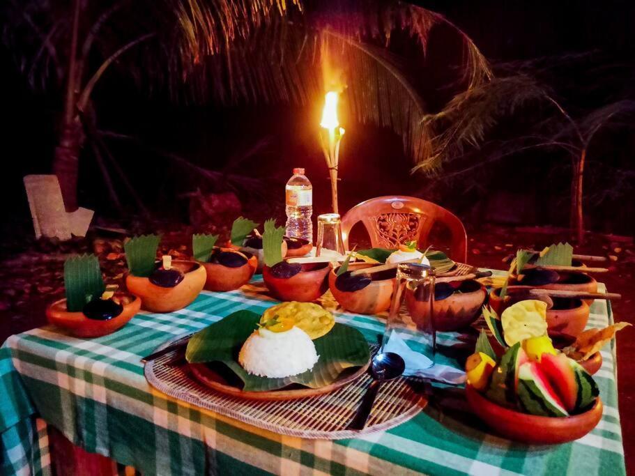 סיגירייה Experience The Comforts Of An Amazing Treehouse מראה חיצוני תמונה