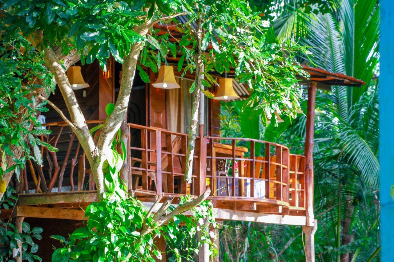 סיגירייה Experience The Comforts Of An Amazing Treehouse מראה חיצוני תמונה