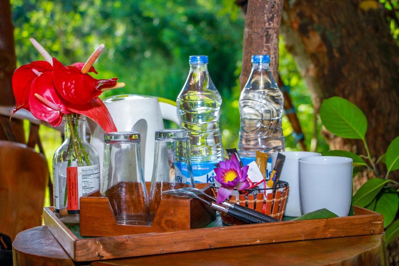 סיגירייה Experience The Comforts Of An Amazing Treehouse מראה חיצוני תמונה