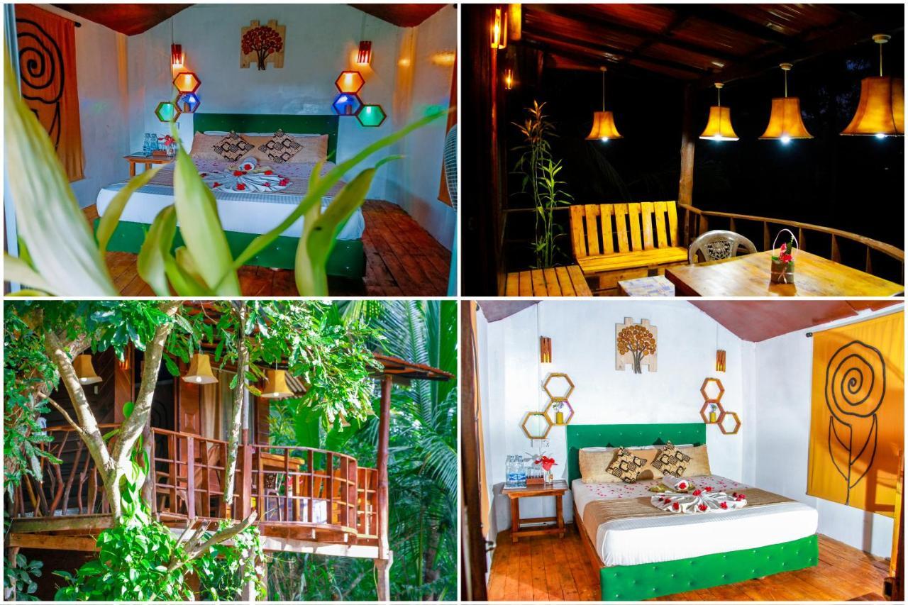 סיגירייה Experience The Comforts Of An Amazing Treehouse מראה חיצוני תמונה